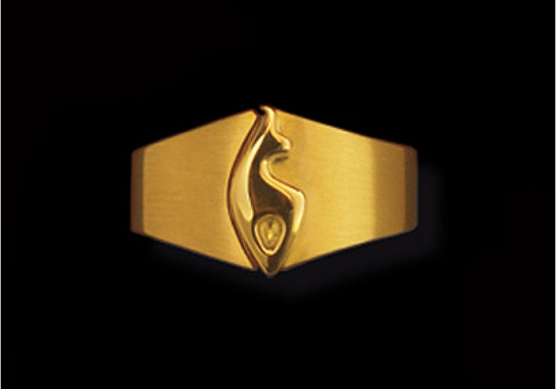 Kitz-Ring